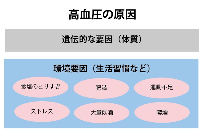 高血圧はどんな原因で起こる？の画像