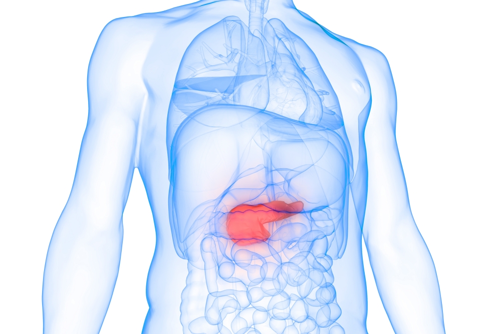 完治が難しいとされる膵臓がんってどんな病気？