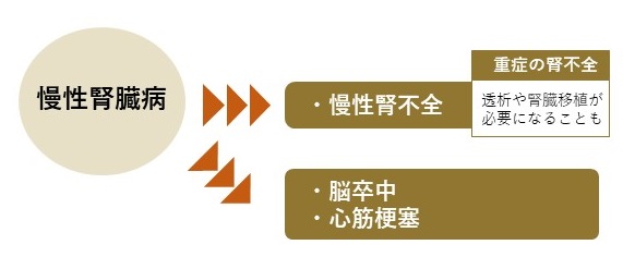 慢性腎臓病（CKD）とは、どんな病気？